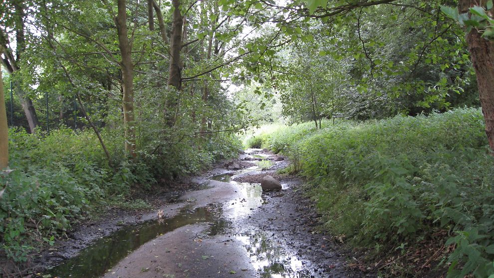 Ein Bach, der wenig Wasser führt ©BUKEA